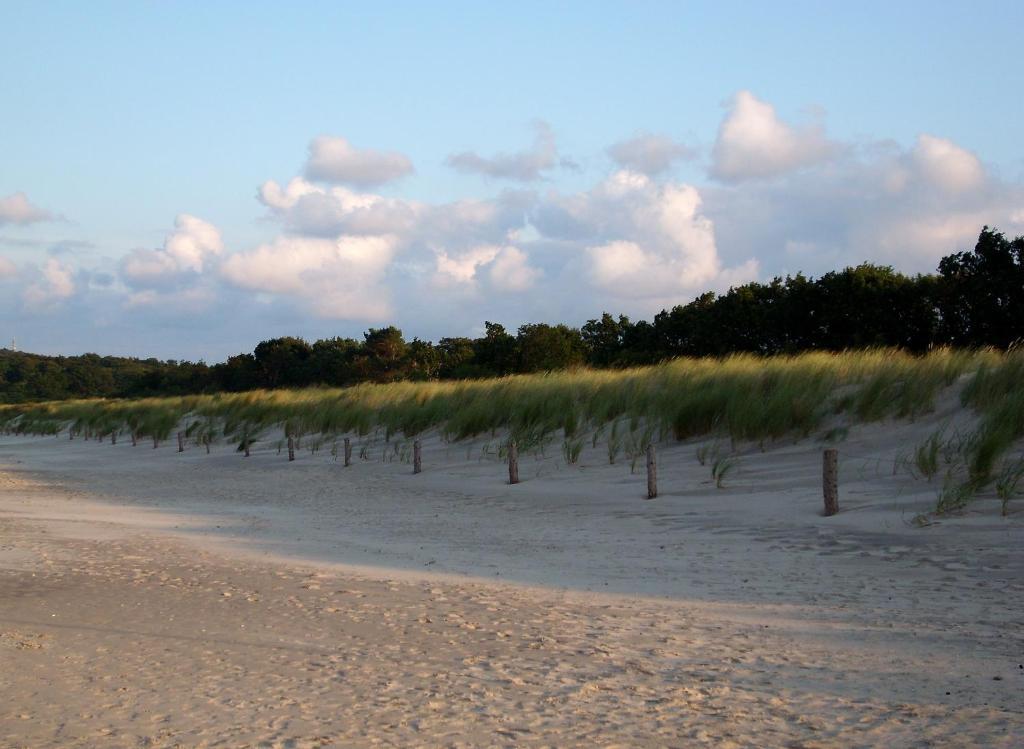 Das Hudewald Hotel & Resort Ückeritz Zewnętrze zdjęcie